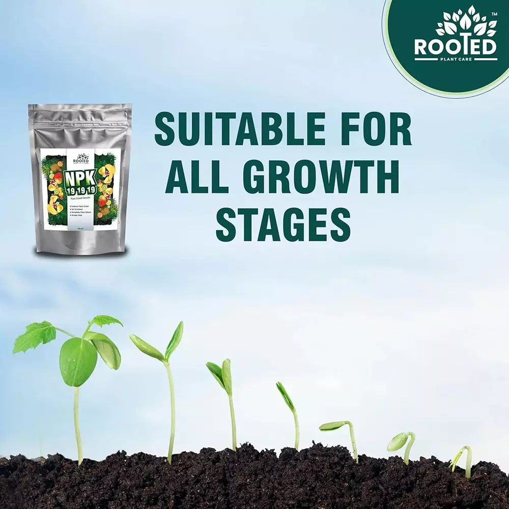Rooted Fertilizer 400 g Packet Powder Form for Plant Growth, ROOTED_NPK_400gms