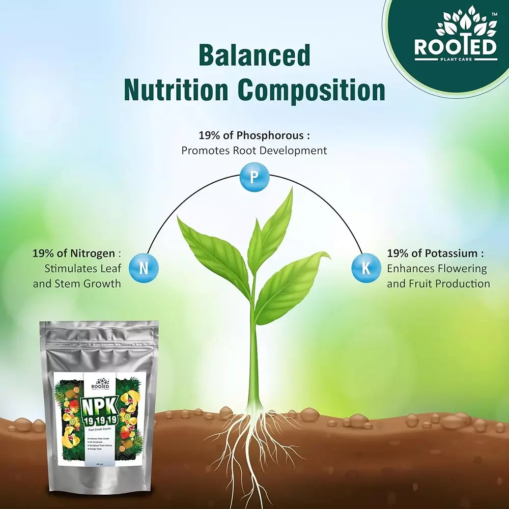 Rooted Fertilizer 400 g Packet Powder Form for Plant Growth, ROOTED_NPK_400gms