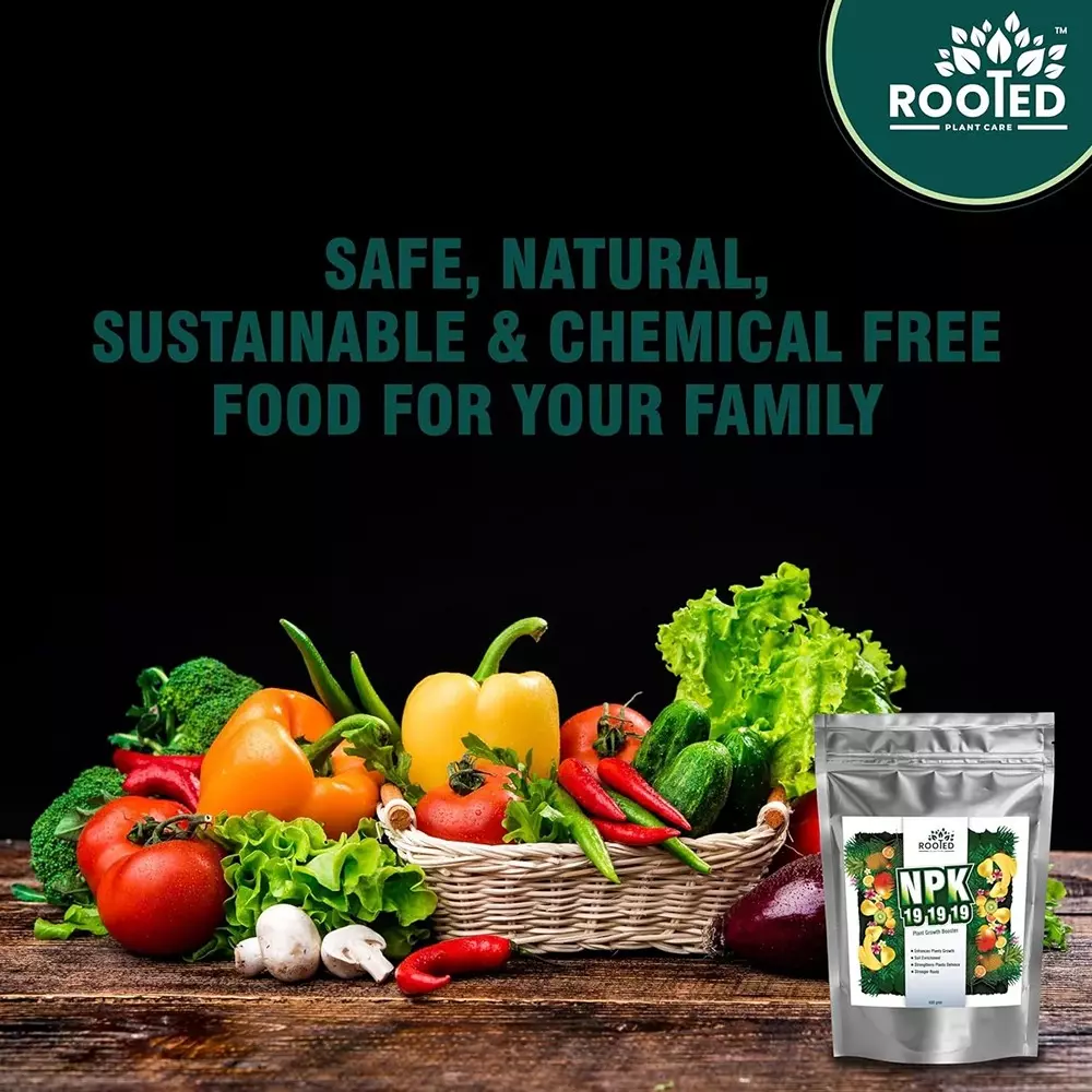 Rooted Fertilizer 400 g Packet Powder Form for Plant Growth, ROOTED_NPK_400gms