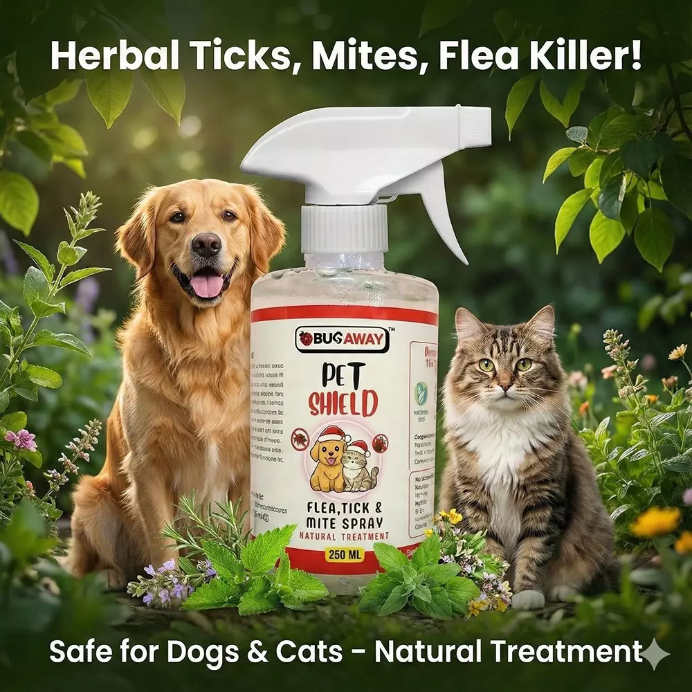 BUGAWAY Herbal Pet Shield Natural Flea & Tick Spray 250 ml 100% Organic for Home (Pack of 3)
