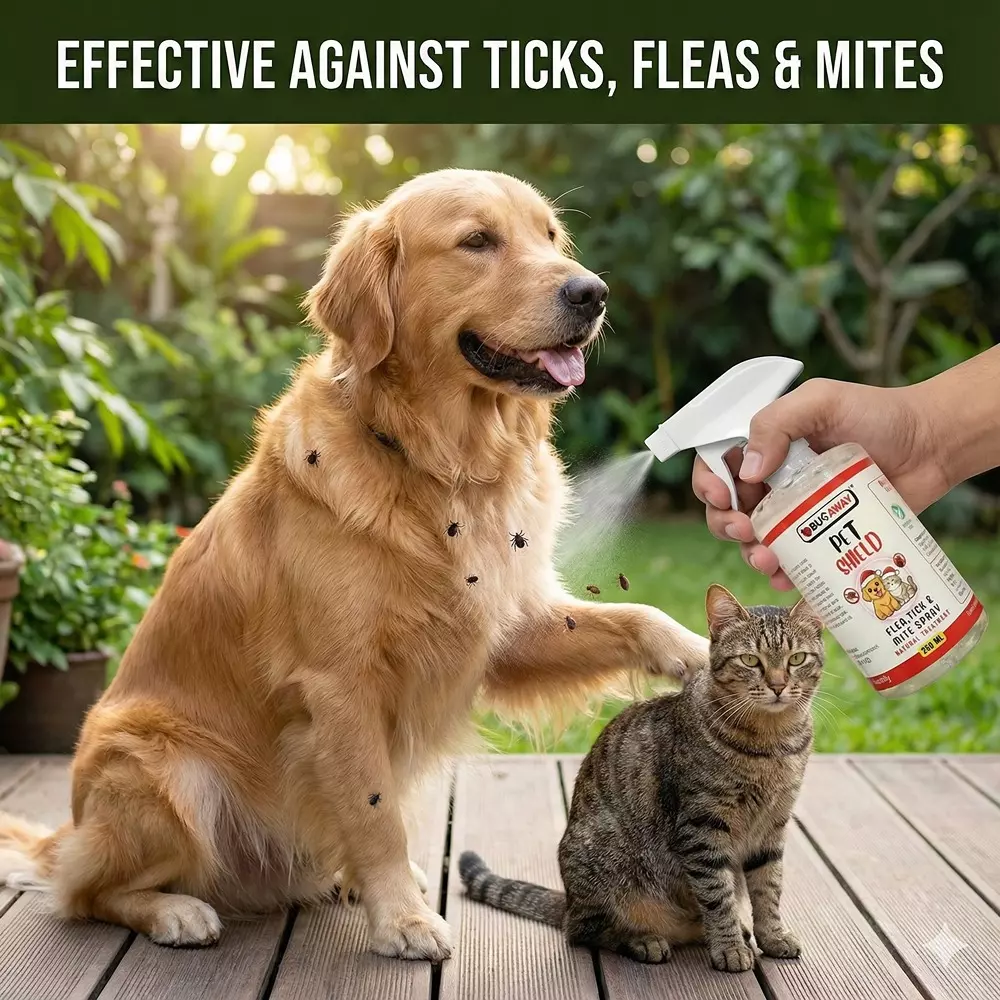 bugaway-herbal-pet-shield-natural-flea-tick-spray-250-ml-100-organic-for-home-pack-of-3