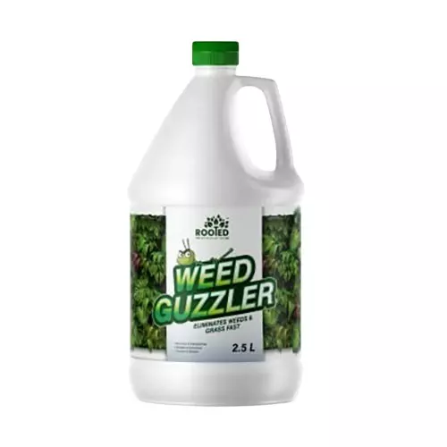 Rooted Weed Guzzler 2.5 L Bottle Liquid Form for ‎Plant Growth, Soil Conditioning, ROOTED_WG_2.5L