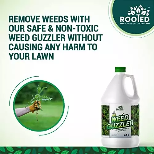 Rooted Weed Guzzler 2.5 L Bottle Liquid Form for ‎Plant Growth, Soil Conditioning, ROOTED_WG_2.5L