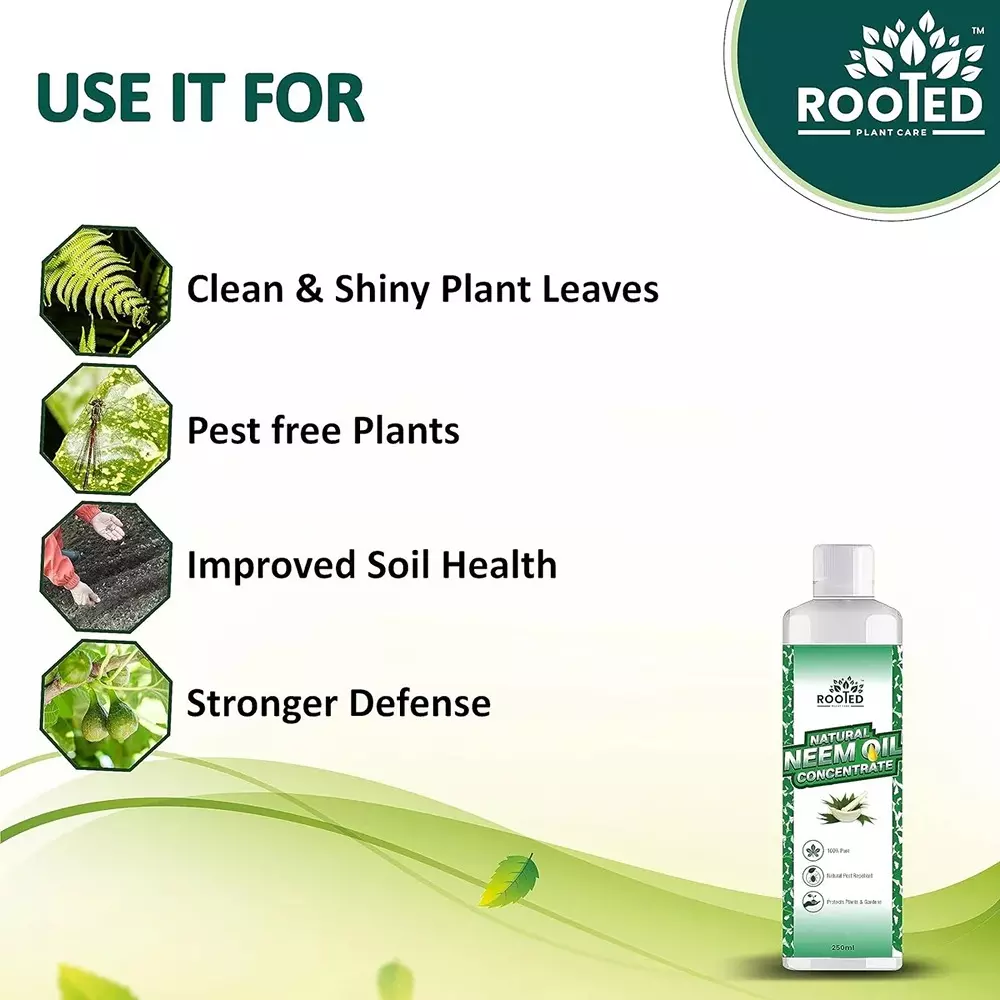 Rooted Neem Oil Concentrate 250 ml Bottle Liquid Form for Flower Gardens, Indoor Plants, ROOTED_NOC_250ML