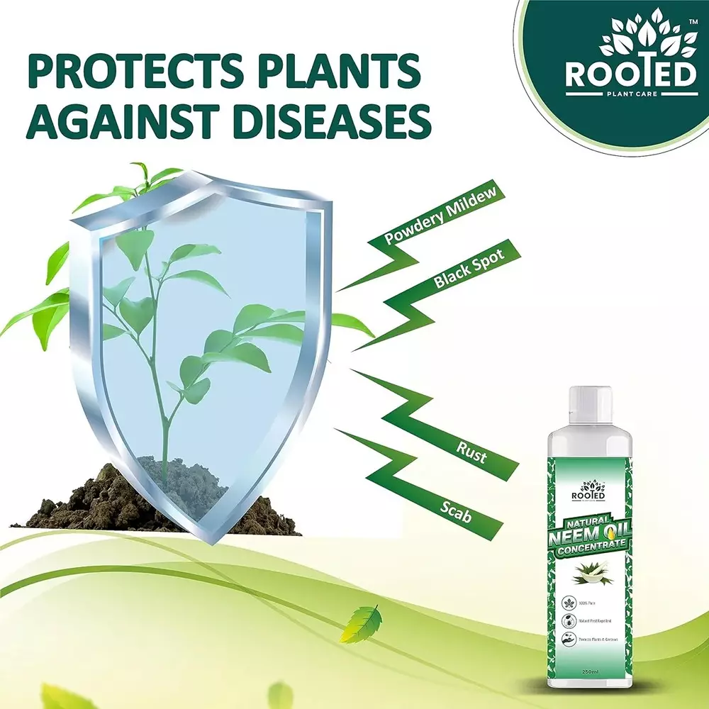 Rooted Neem Oil Concentrate 250 ml Bottle Liquid Form for Flower Gardens, Indoor Plants, ROOTED_NOC_250ML