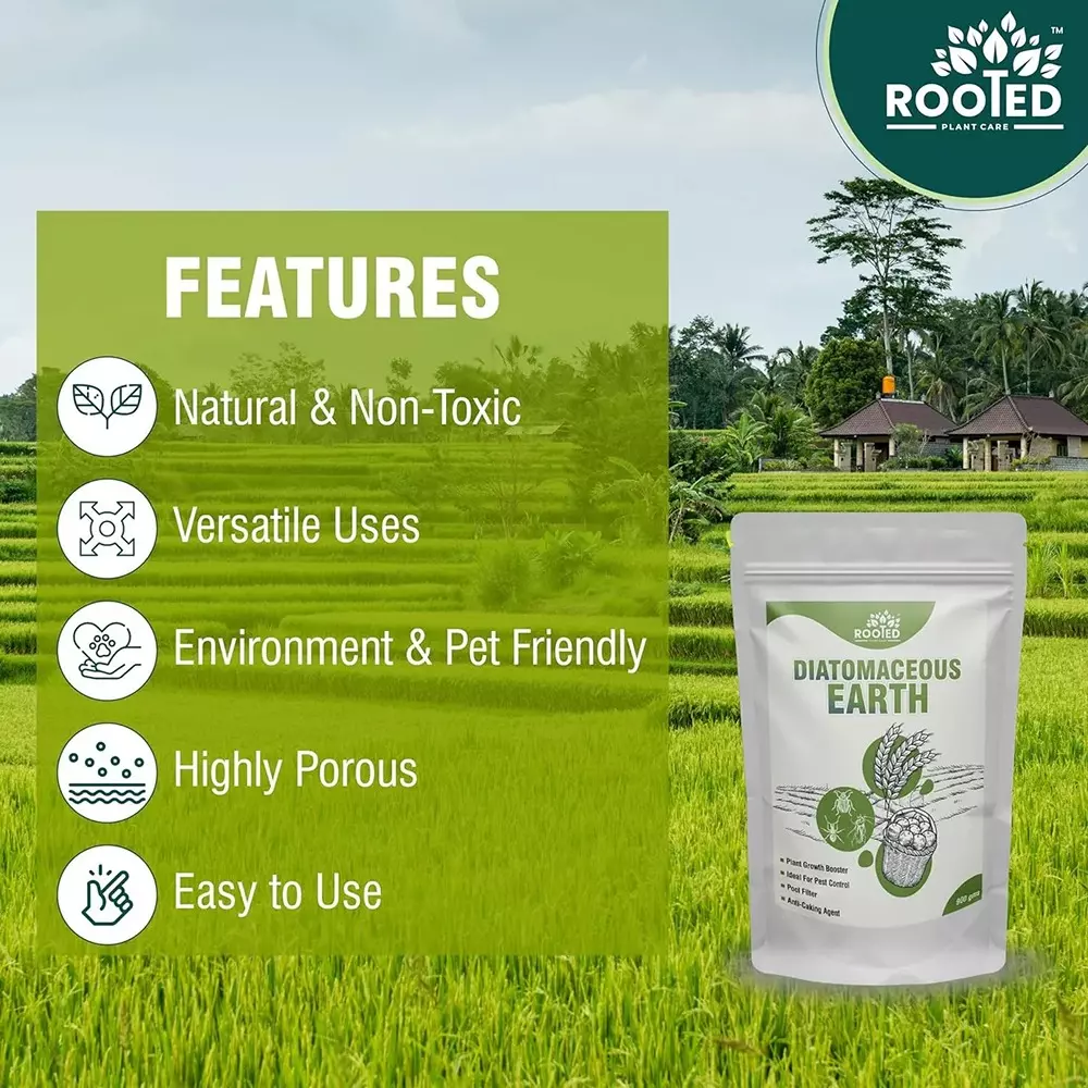 Rooted Diatomaceous Earth Powder 900 g Packet Powder Form for Home Garden Plants, ROOTED_DEP_900gms