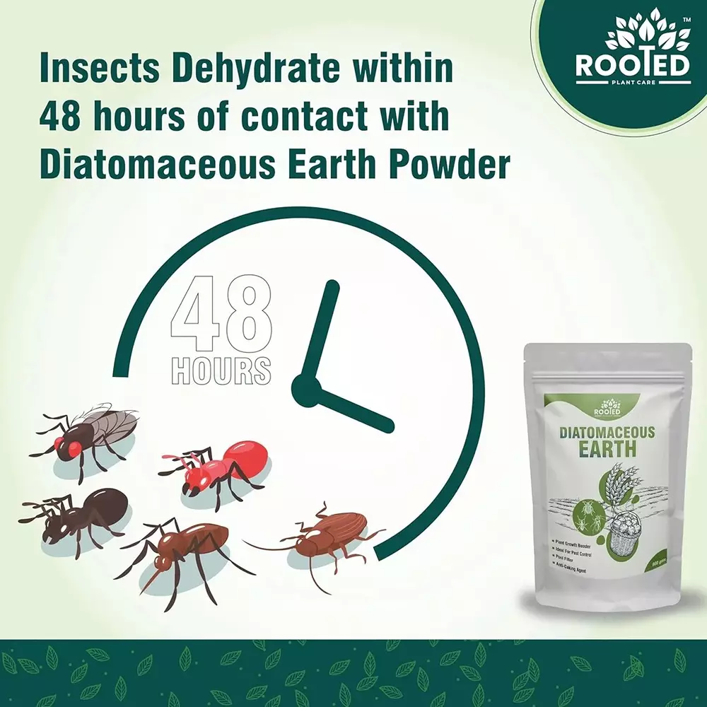 Rooted Diatomaceous Earth Powder 900 g Packet Powder Form for Home Garden Plants, ROOTED_DEP_900gms