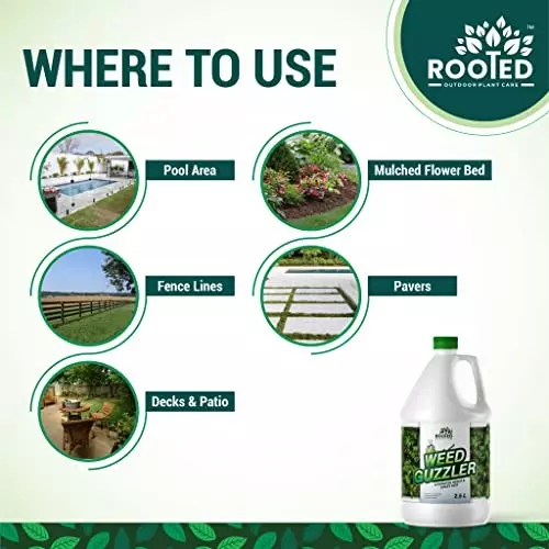 Rooted Weed Guzzler 1 L Bottle Liquid Form for ‎Plant Growth, Soil Conditioning, ROOTED_WG_1L