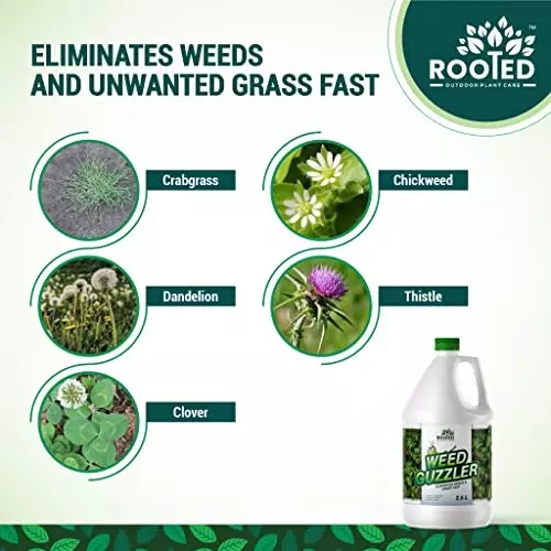 Rooted Weed Guzzler 1 L Bottle Liquid Form for ‎Plant Growth, Soil Conditioning, ROOTED_WG_1L