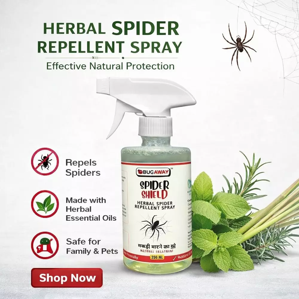 bugaway-organic-spider-repellent-spray-makdi-bhagane-ka-spray-250-ml-for-home-pack-of-4