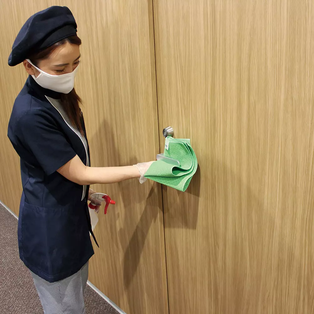 TERAMOTO 200×300 mm FX Antibacterial Cloth (TioTio) Green, CL-374-940-1