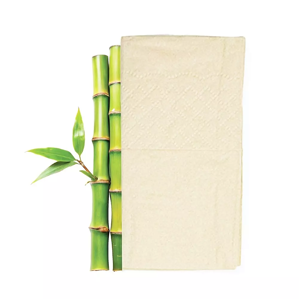 IMECO Bamboo Pocket Tissues 2 Ply 10 Pulls Ultra-Soft & Biodegradable, IMEBTPT10 (Pack of 3)