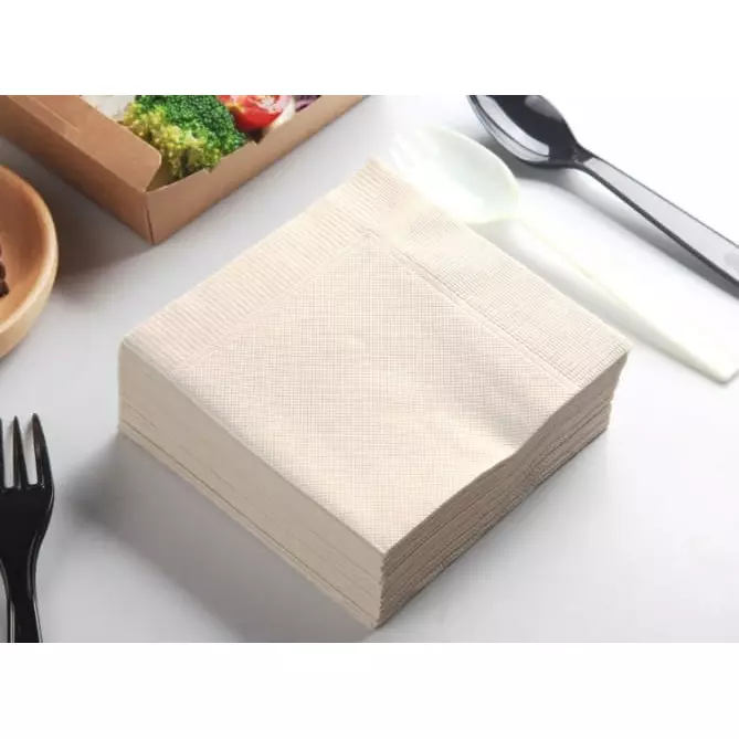 Liora Tissue Paper Napkin 100 Pulls in 1 Pc 1 ply White (Pack of 100)
