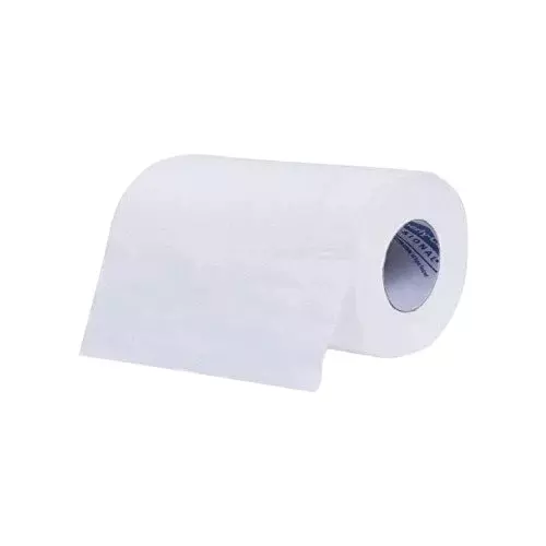 SCOTT Toilet Tissue Paper Rolls White 2 Ply for Toilets & Bathrooms, 04002A (Pack of 160 Rolls)