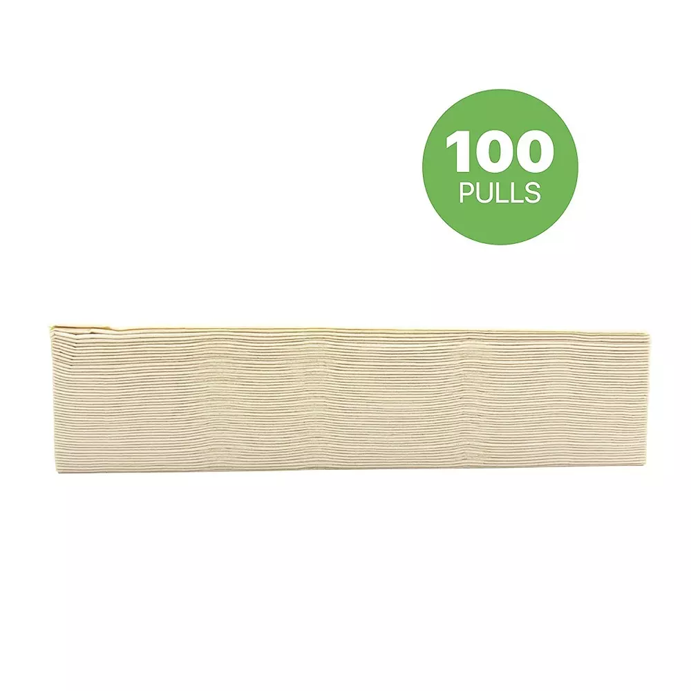 IMECO Bamboo Facial Tissues 2 Ply 100 Pulls Ultra-Soft & Biodegradable, IMEBTNT100 (Pack of 3)