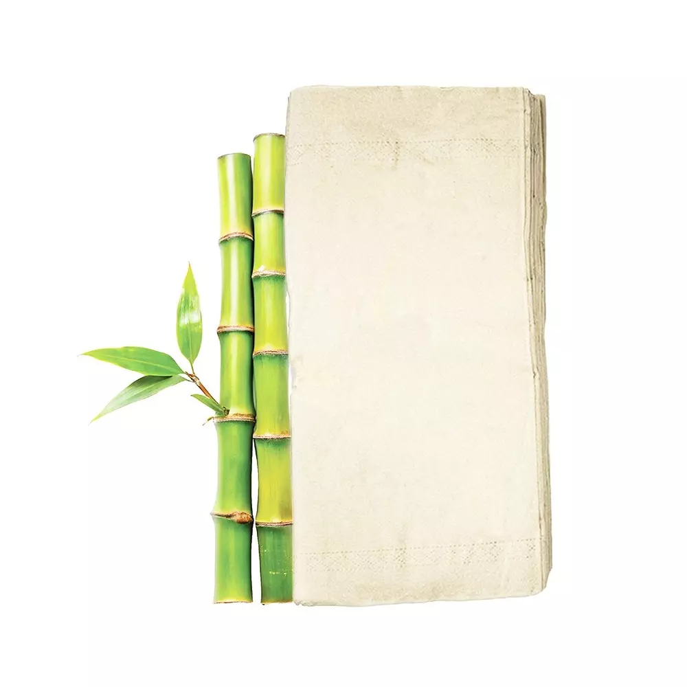 IMECO Bamboo Facial Tissues 2 Ply 100 Pulls Ultra-Soft & Biodegradable, IMEBTNT100 (Pack of 3)