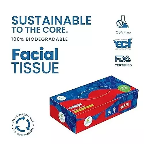 century-face-tissue-box-2-ply-virgin-pulp-white-pack-of-4-boxes-100-pulls-each