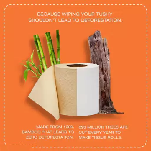 Liora Toilet Tissue Rolls 2 ply 235 Pulls in 1 Pc 100% Natural Bamboo Brown, (Pack of 20)