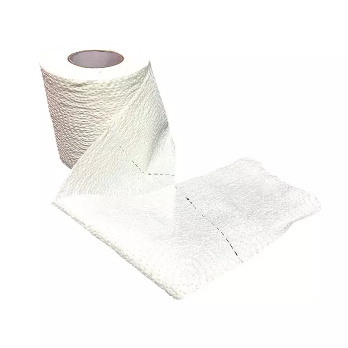 GENERIC Toilet Roll Tissue Paper White Round Shape 250 Pulls (Each Roll) for Bathrooms & Toilet Use, PTR250 (Pack of 125 Rolls)