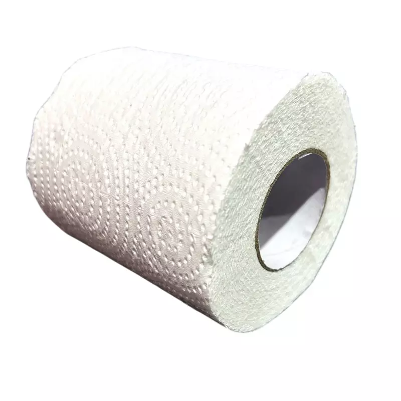 GENERIC Toilet Roll Tissue Paper White Round Shape 250 Pulls (Each Roll) for Bathrooms & Toilet Use, PTR250 (Pack of 125 Rolls)