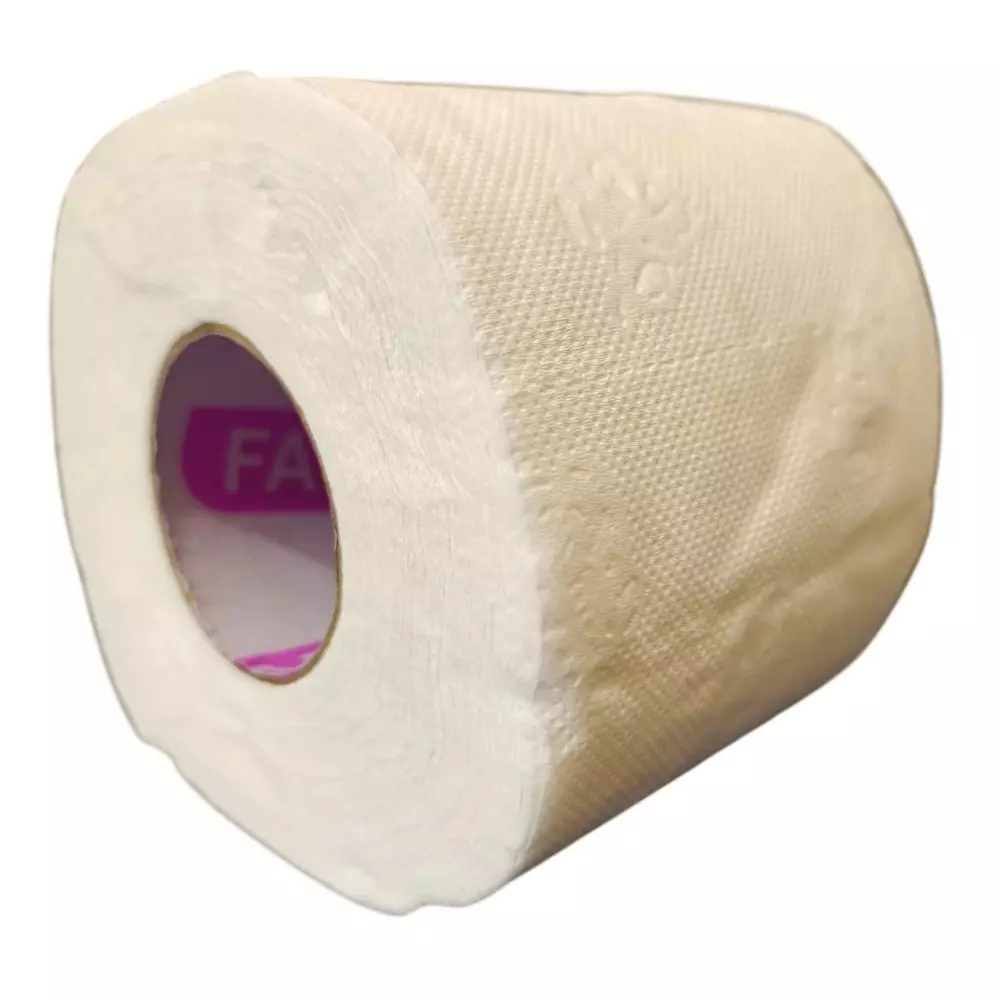 fabius-250-sheets-each-toilet-paper-roll-2-ply-size-10-x-10-cm-for-hotels-homes-offices-fabtr250p-pack-of-100-roll