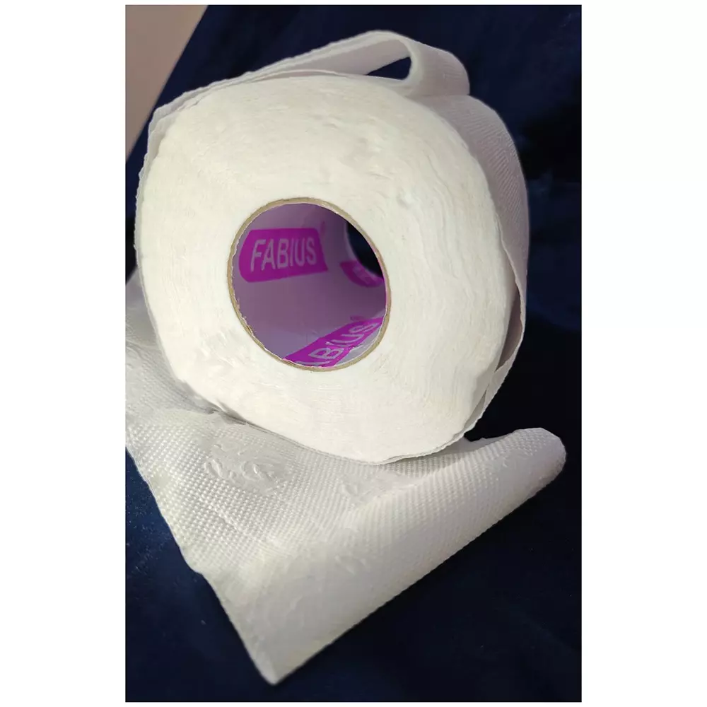 fabius-250-sheets-each-toilet-paper-roll-2-ply-size-10-x-10-cm-for-hotels-homes-offices-fabtr250p-pack-of-100-roll