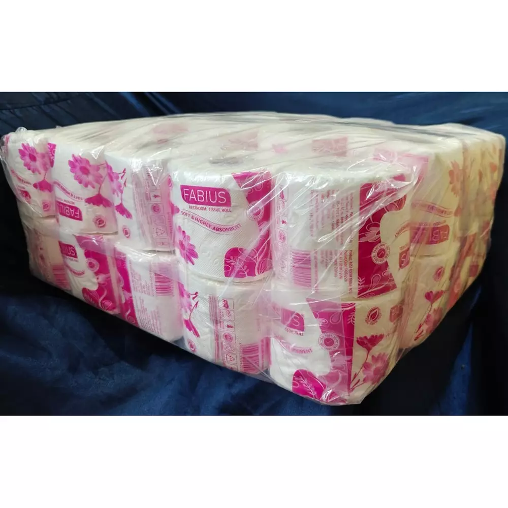fabius-250-sheets-each-toilet-paper-roll-2-ply-size-10-x-10-cm-for-hotels-homes-offices-fabtr250p-pack-of-100-roll