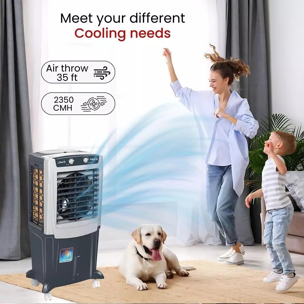 burly-pride-personal-air-cooler-45-l-capacity-grey-color