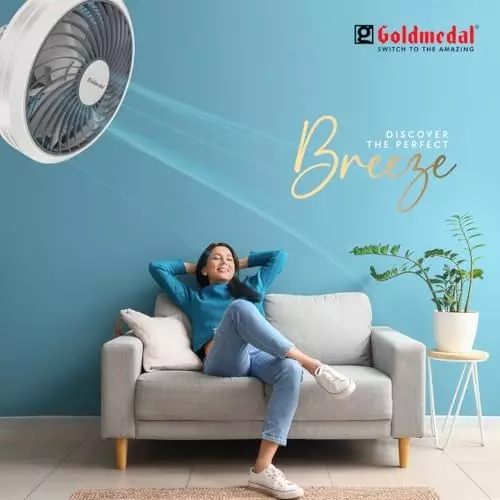 Goldmedal Astor Cabin Fan White Grey 300 mm, PCS650212DMNWG