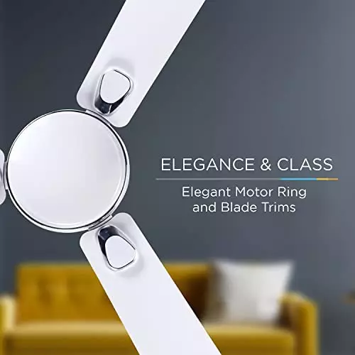 RR Signature TRIANA BLDC Ceiling Fan White 1200 mm Sweep 380 RPM