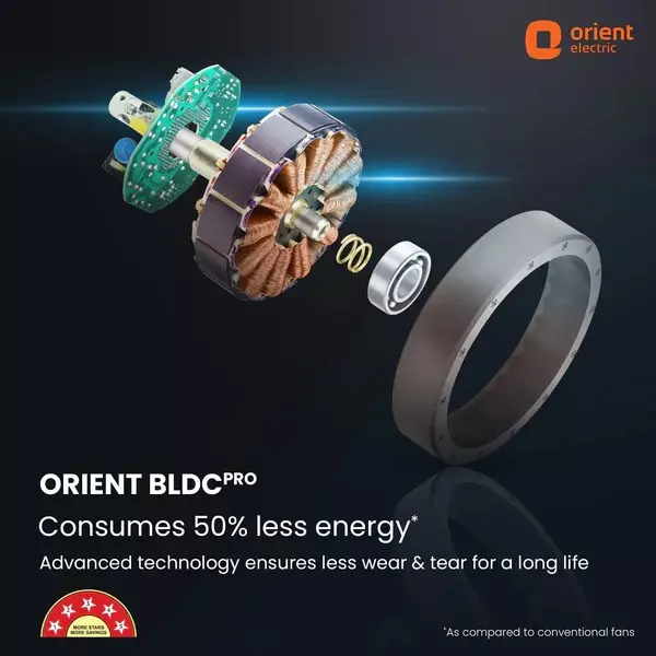 Orient BLDC Premium Aeon Antidust Ceiling Fan with Remote Magma Grey 1200 mm 32 W 3 Blades 350 RPM