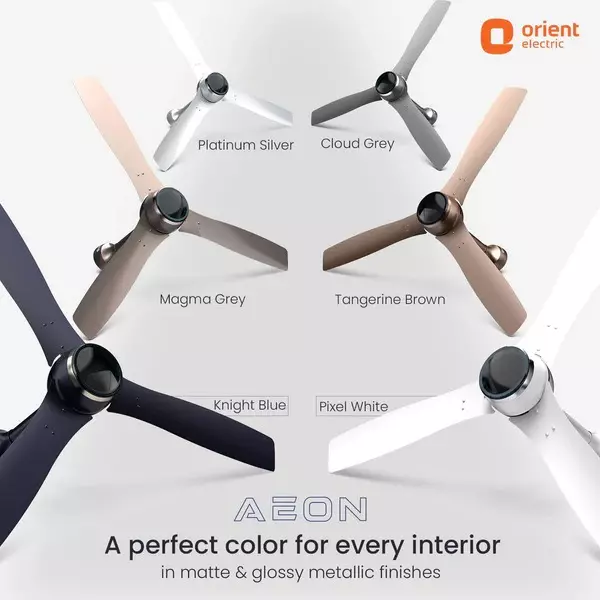 Orient BLDC Premium Aeon Antidust Ceiling Fan with Remote Magma Grey 1200 mm 32 W 3 Blades 350 RPM