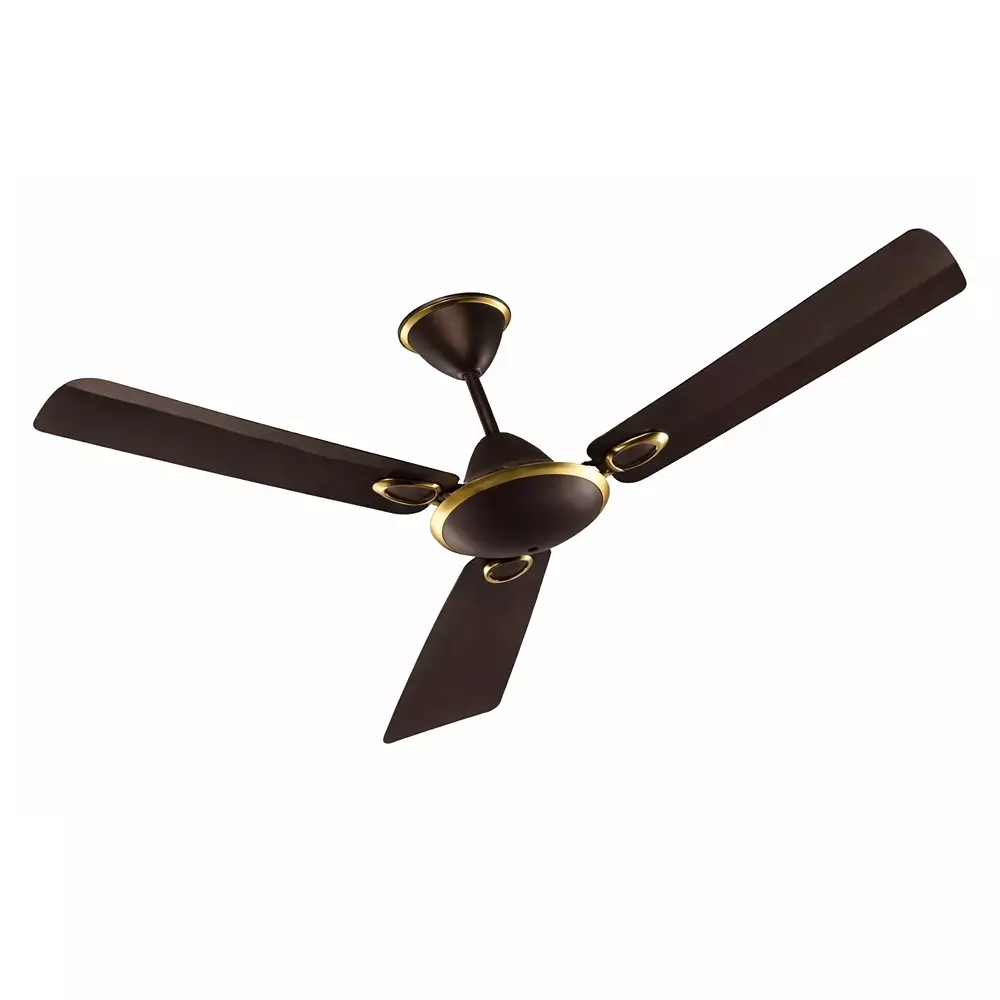 HPL Premium Ceiling Fan 56 Inch (142 cm) Size 1400 mm Sweep Size 55 W Power Roast Brown, Gusto 56-ES (HPLCFGES1SRSRB56)