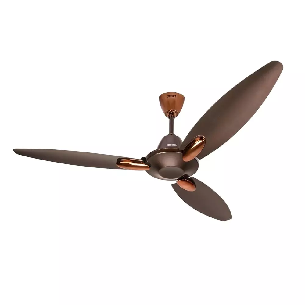 Usha Bloom Daffodil 1250 mm Decorative Ceiling Fan 380 RPM 3 Blade Smoke Brown, USBloomDaffGD1250SMBWR