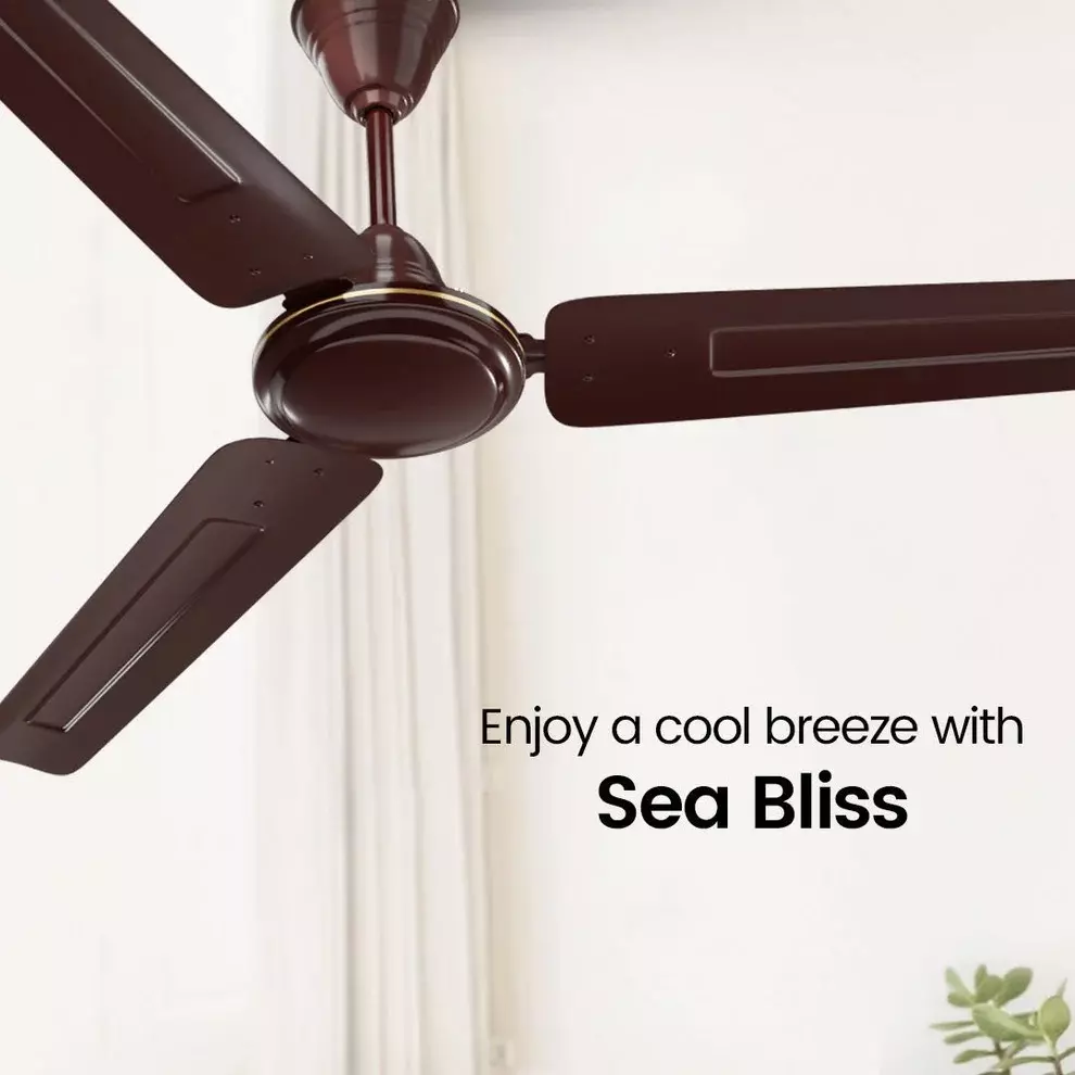crompton-1200-mm-ceiling-fans-390-rpm-lustre-brown-surebreeze-sea