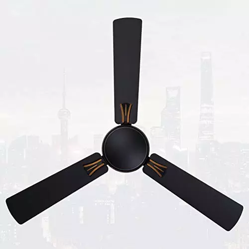 RR Signature AUDIE Ceiling Fan Charcoal Black 1200 mm Sweep 350 RPM