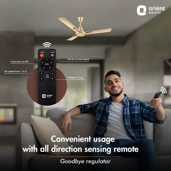 Orient BLDC Deco Hector Ceiling Fan with Remote Royal Manioca 1200 mm 32 W 3 Blades 350 RPM