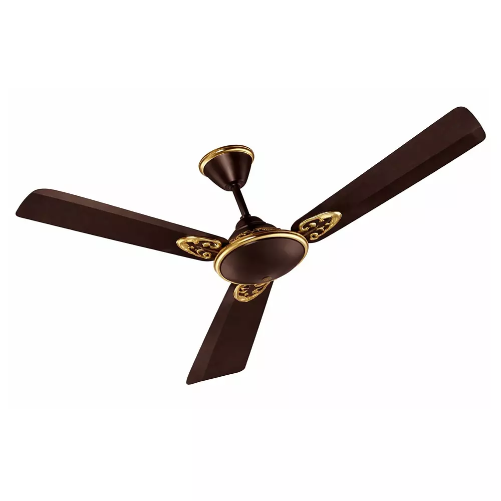 HPL Premium Ceiling Fan 48 Inch (122 cm) Size 1200 mm Sweep Size 50 W Power Roast Brown, Gusto Art -ES (HPLCFGAES1SRSRB48)