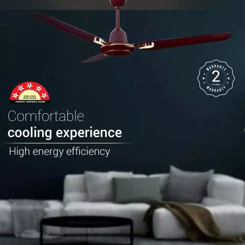RR Signature DHOOM BLDC Ceiling Fan Brown 1200 mm Sweep 350 RPM