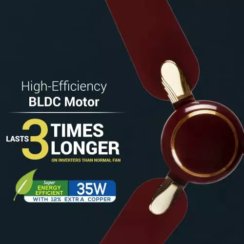 RR Signature DHOOM BLDC Ceiling Fan Brown 1200 mm Sweep 350 RPM