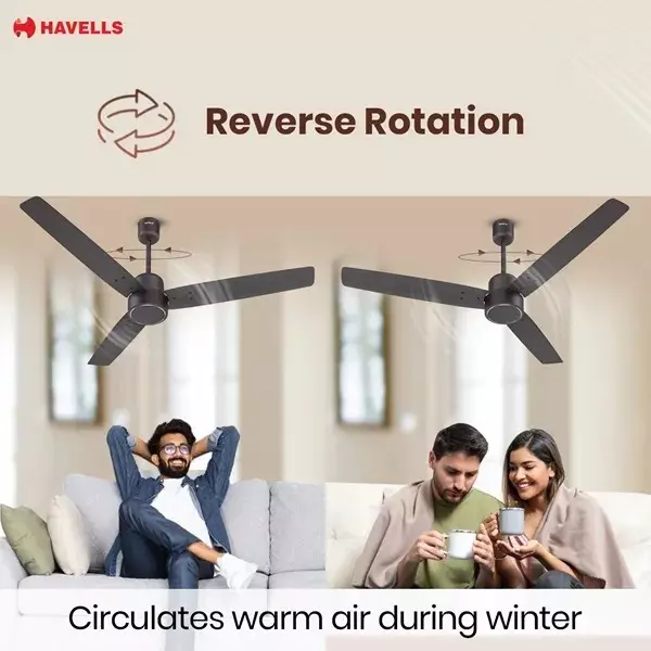 havells-epic-bldc-1200-mm-ceiling-fan-with-remote-smoke-brown-fhcpi5ssbw48