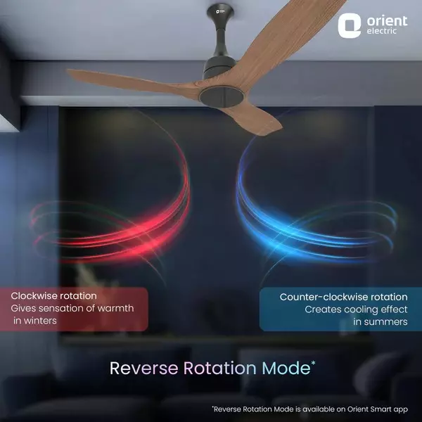 Orient Premium Aerosense BLDC Non-Underlight Ceiling Fan Honeymaple Wood 1200 mm 40 W 3 Blades 280 RPM