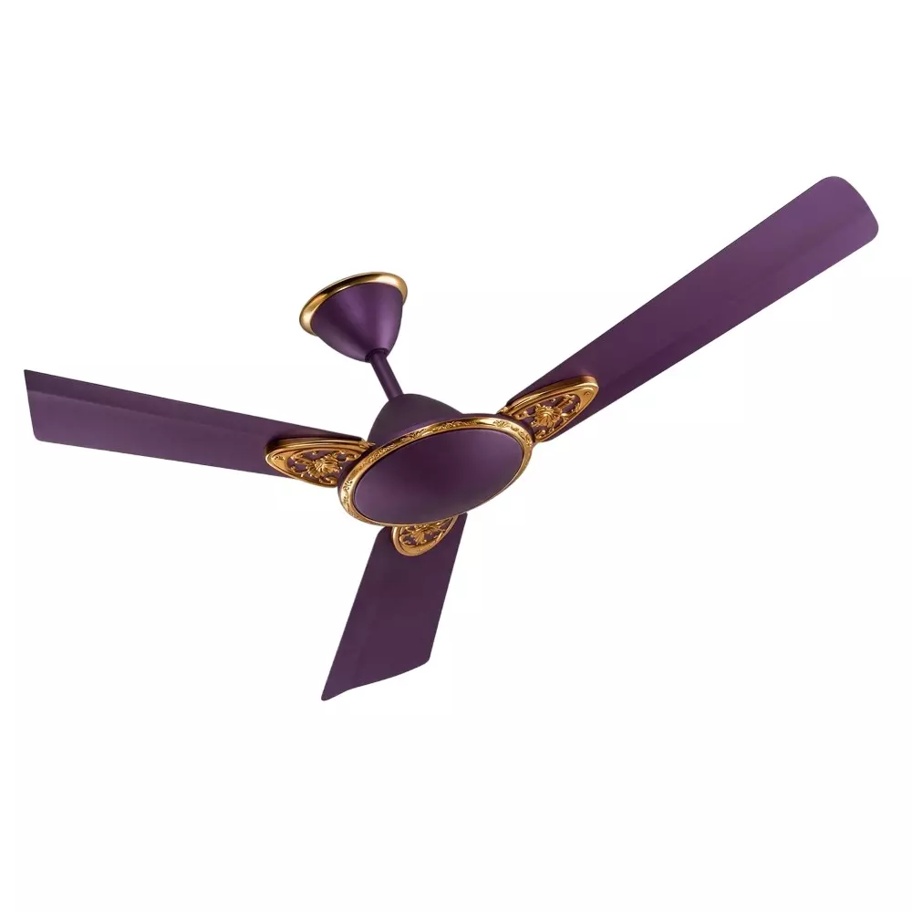 HPL Premium Ceiling Fan 48 Inch (122 cm) Size 1200 mm Sweep Size 50 W Power Mat Purple, Gusto Art -ES (HPLCFGAES1SRSSMP48)