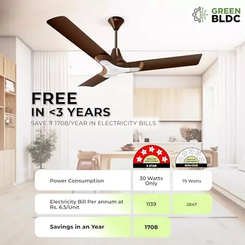 RR Signature NEW YORK BROOKLYN BLDC Ceiling Fan Ale Brown 1200 mm Sweep 350 RPM
