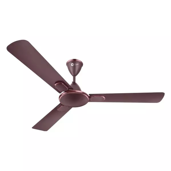 Orient Deco Blanco Ceiling Fan Wine Brown 1200 mm 55 W 3 Blades 370 RPM