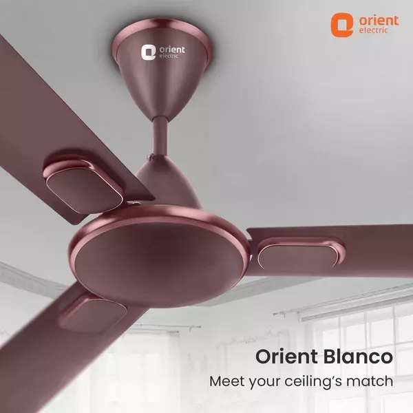 Orient Deco Blanco Ceiling Fan Wine Brown 1200 mm 55 W 3 Blades 370 RPM