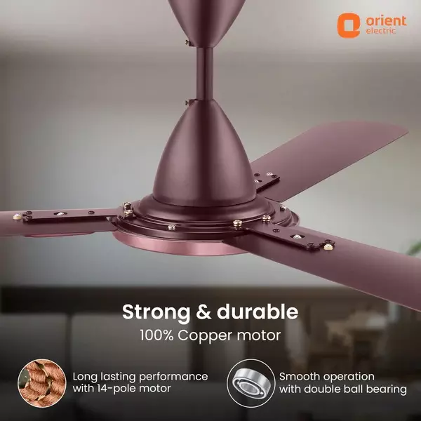 Orient Deco Blanco Ceiling Fan Wine Brown 1200 mm 55 W 3 Blades 370 RPM
