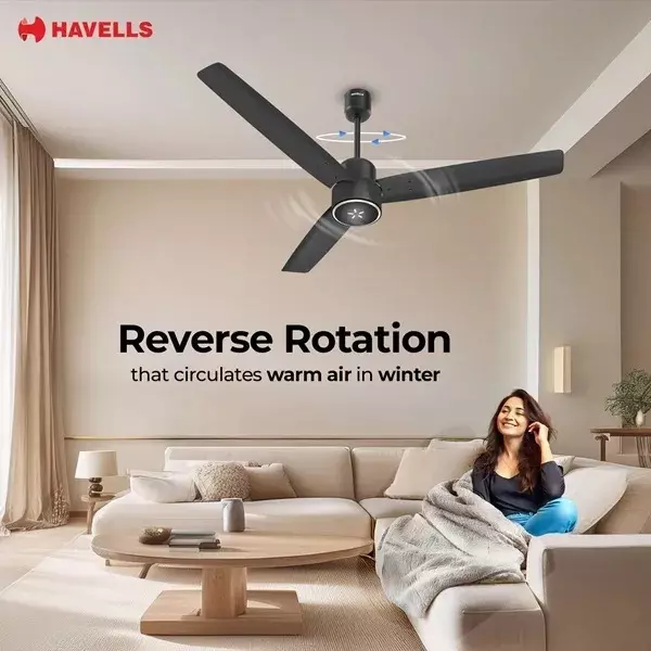 havells-epic-signia-1200-mm-bldc-ceiling-fan-with-remote-matt-black-fhcps5smbl48