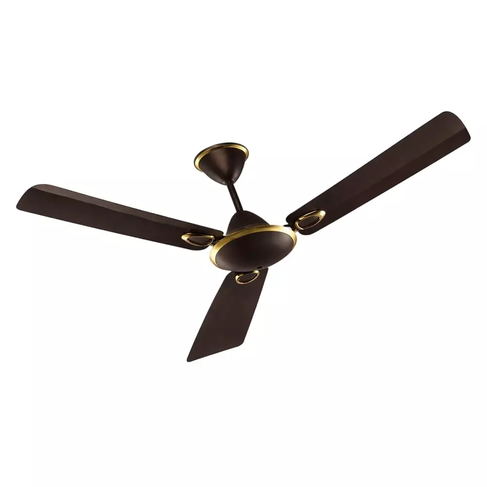 HPL Premium Ceiling Fan 48 Inch (122 cm) Size 1200 mm Sweep Size 50 W Power Roast Brown, Gusto - ES (HPLCFGES1SRSRB48)