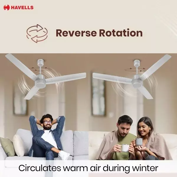 havells-epic-bldc-1200-mm-ceiling-fan-with-remote-grey-fhcpi5sgry48